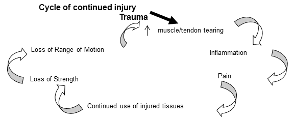 Cycle of Continued Injury